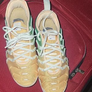 Nike Orange and Green Vapormax Plus
